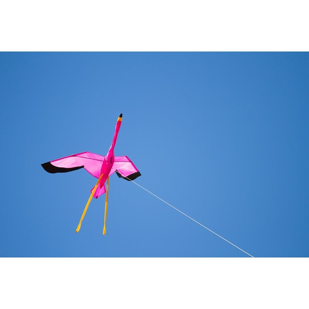 Aitvaras Flamingas 3D 100x135cm 2 Aitvaras Flamingas 3D 100x135cm 2