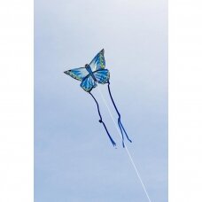 Aitvaras Mėlynas drugelis 120cm