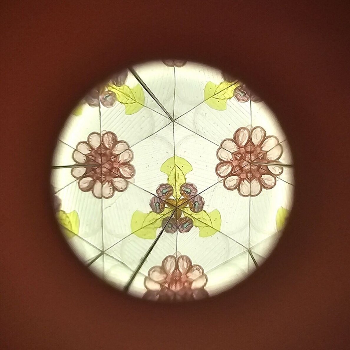 Kaleidoskopas Sodo fėjos 8