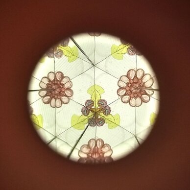 Kaleidoskopas Sodo fėjos 8