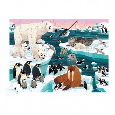 Dėlionė apvalioje dėžutėje Arkties gyvūnai, 72 detalės 1