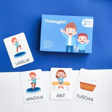 Dviejų dalių „Montessori“ lavinamųjų kortelių rinkinys „Priešingybės“ Dviejų dalių „Montessori“ lavinamųjų kortelių rinkinys „Priešingybės“