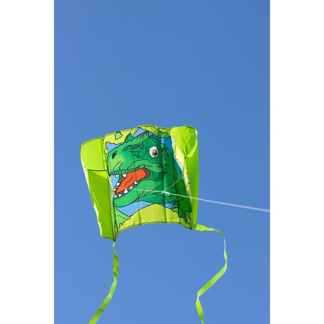 Berėmis aitvaras "T-Rex" 2