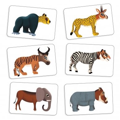 Kortų žaidimas Anijumble