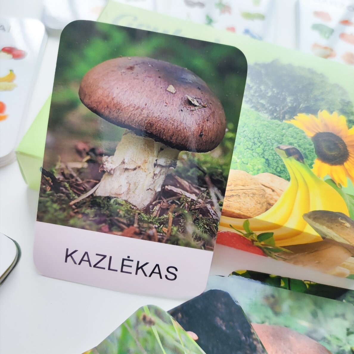 Lavinamųjų kortelių rinkinys "Grybai, augalai ir jų dalys" 2 Lavinamųjų kortelių rinkinys "Grybai, augalai ir jų dalys" 2