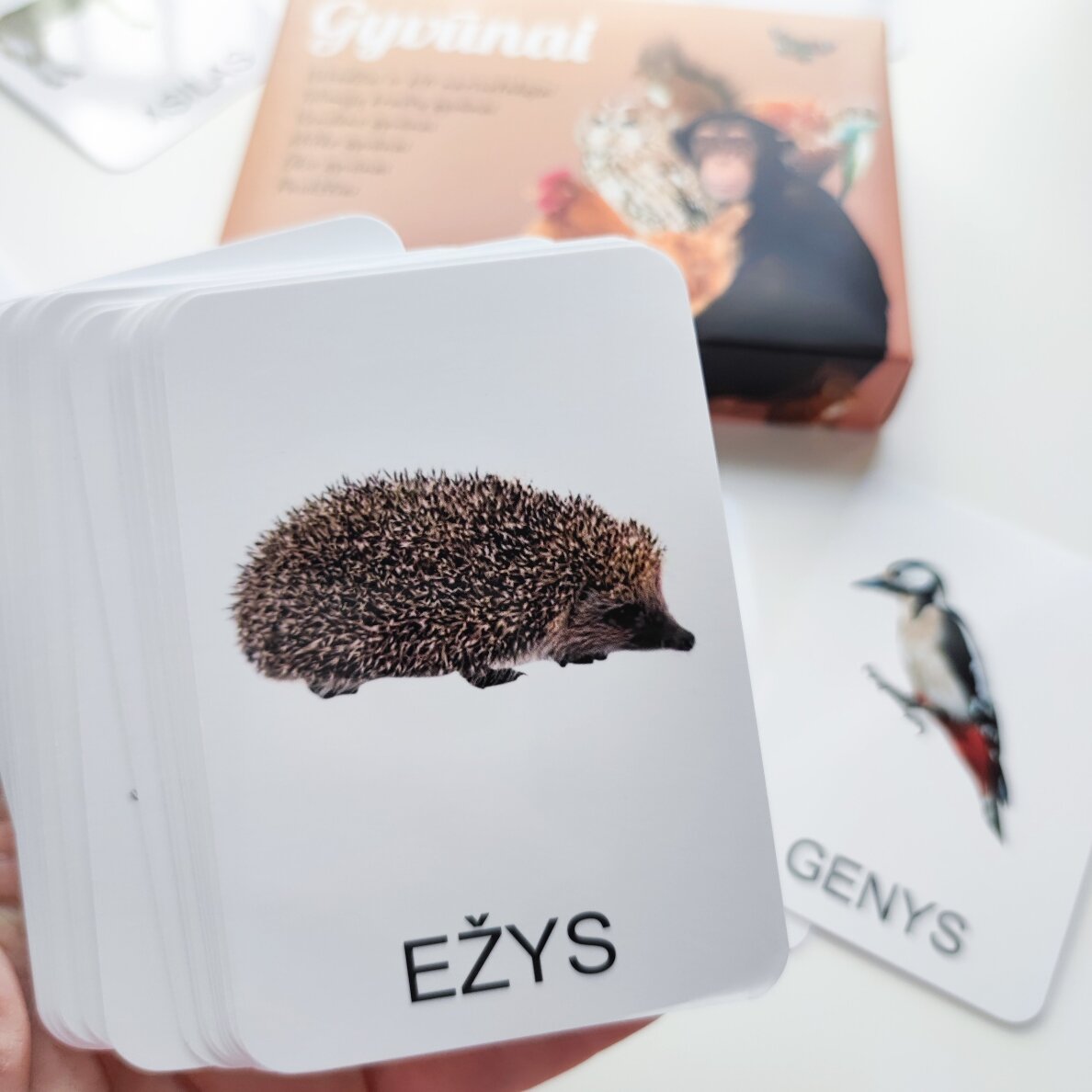 Lavinamųjų kortelių rinkinys "Gyvūnai" 2 Lavinamųjų kortelių rinkinys "Gyvūnai" 2