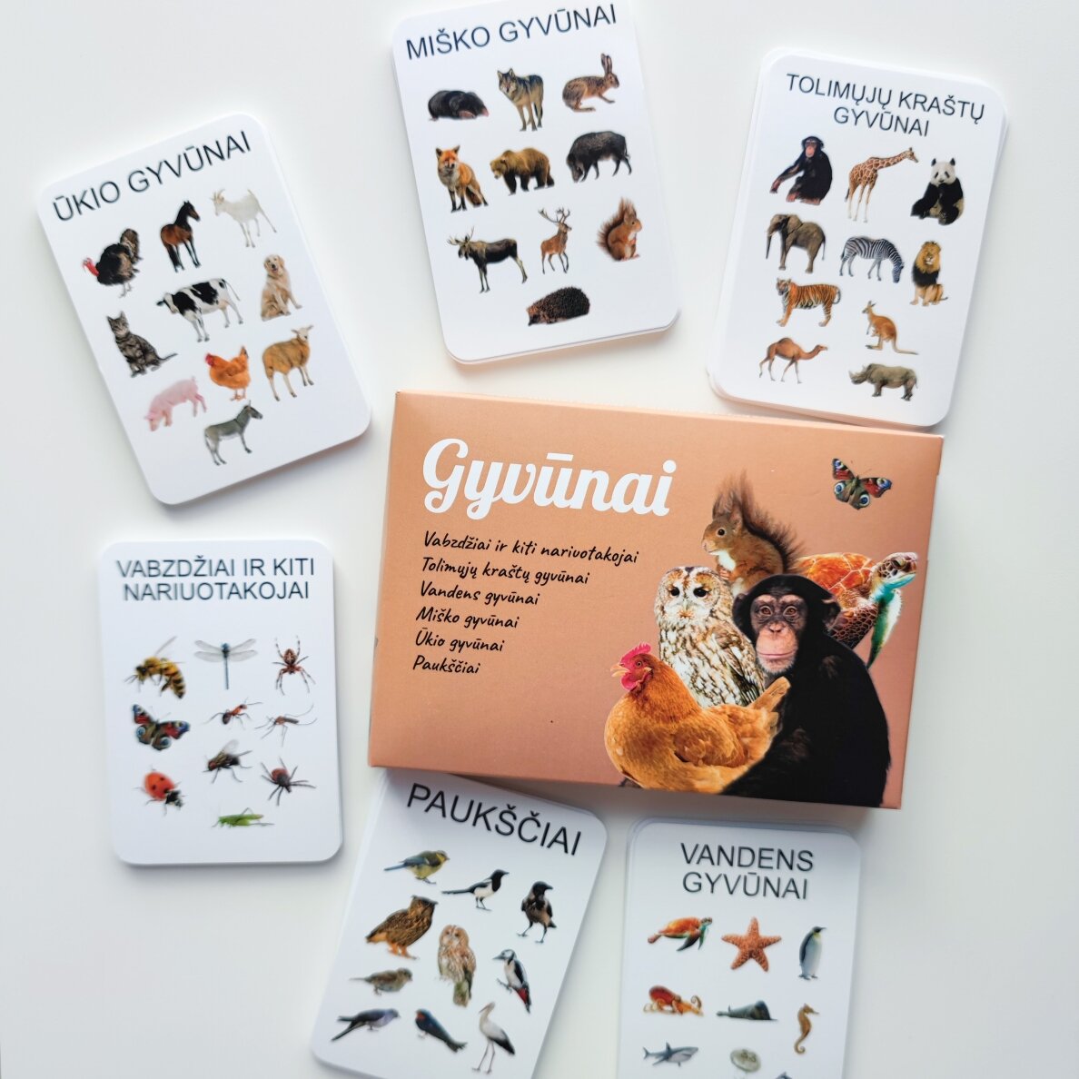 Lavinamųjų kortelių rinkinys "Gyvūnai" Lavinamųjų kortelių rinkinys "Gyvūnai"