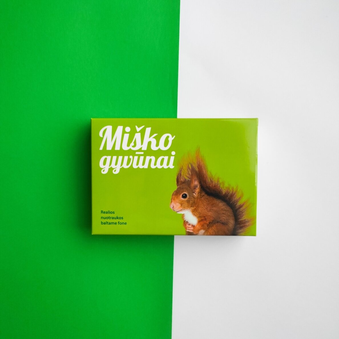 Lavinamųjų kortelių rinkinys „Miško gyvūnai“ 4
