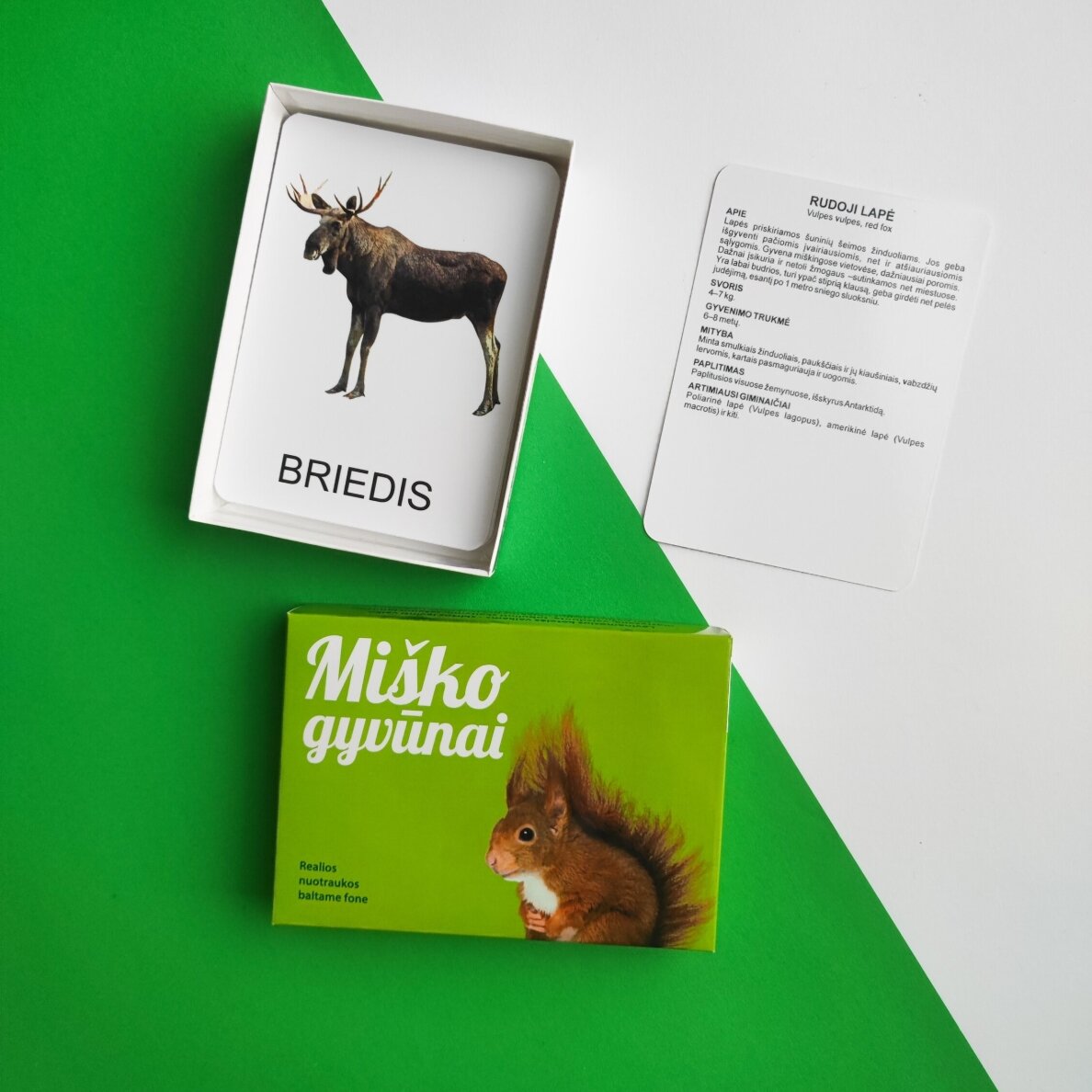Lavinamųjų kortelių rinkinys „Miško gyvūnai“ 14 Lavinamųjų kortelių rinkinys „Miško gyvūnai“ 14