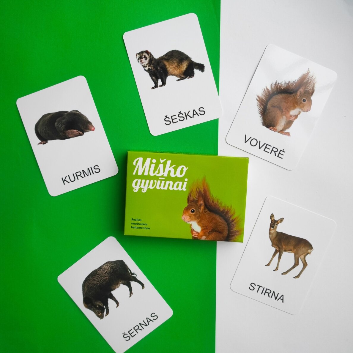 Lavinamųjų kortelių rinkinys „Miško gyvūnai“ 6