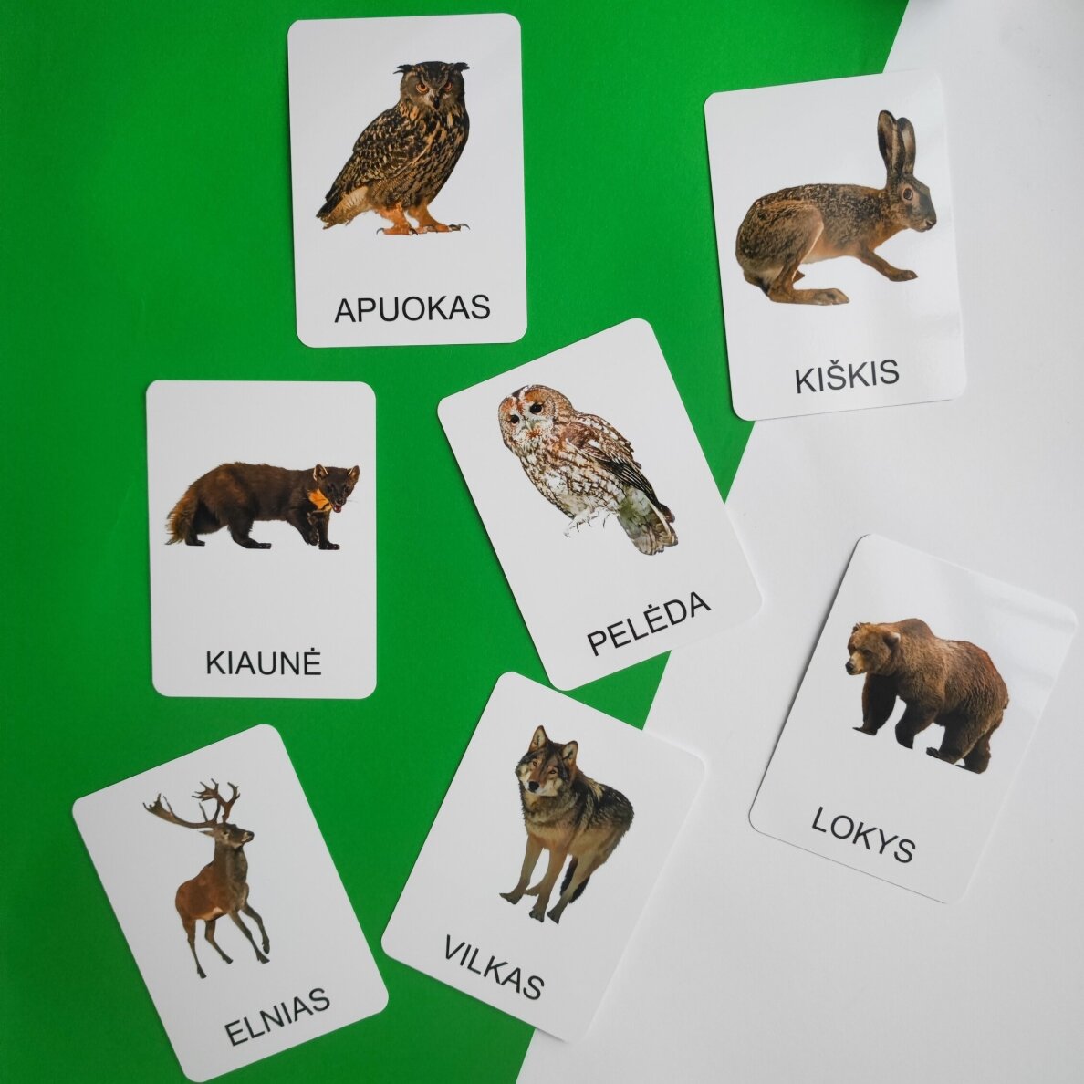Lavinamųjų kortelių rinkinys „Miško gyvūnai“ 7 Lavinamųjų kortelių rinkinys „Miško gyvūnai“ 7