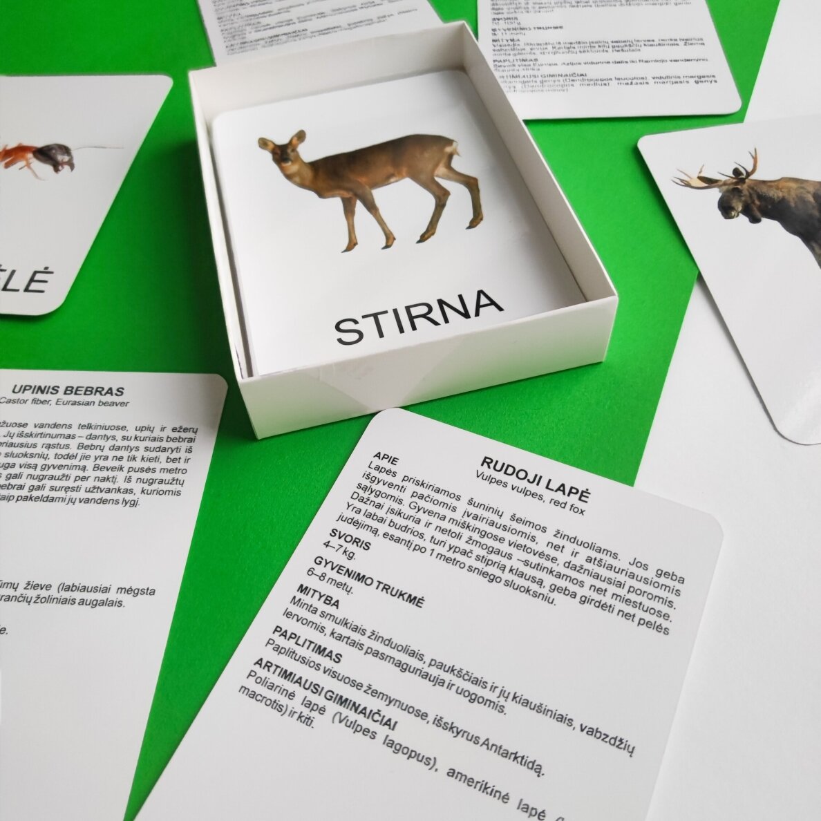 Lavinamųjų kortelių rinkinys „Miško gyvūnai“ 11