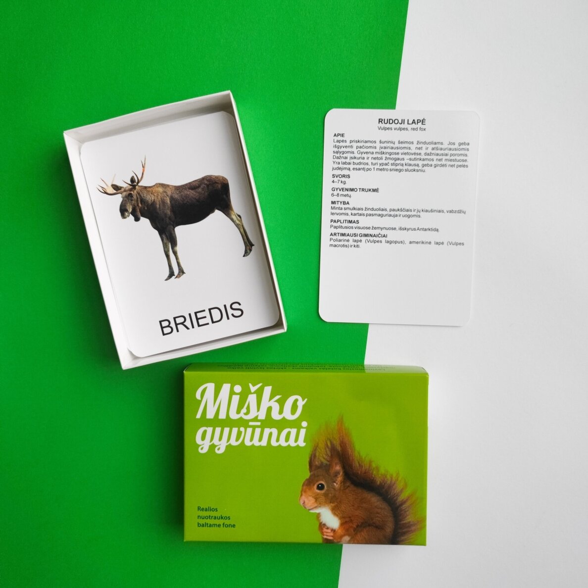 Lavinamųjų kortelių rinkinys „Miško gyvūnai“ 12 Lavinamųjų kortelių rinkinys „Miško gyvūnai“ 12