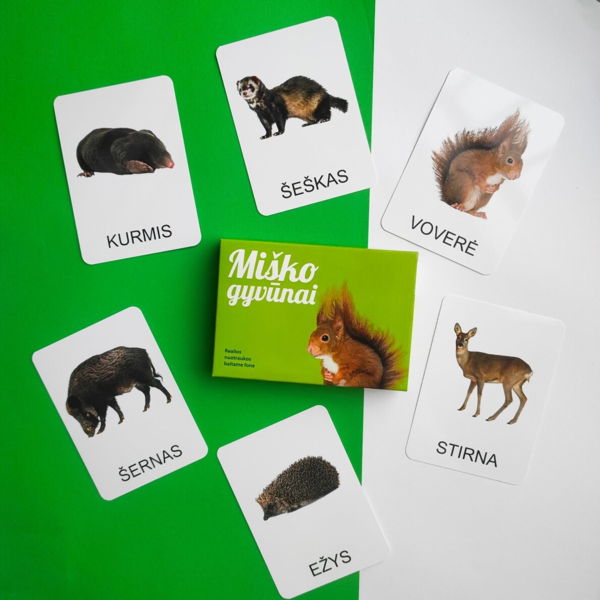 Lavinamųjų kortelių rinkinys „Miško gyvūnai“ 3 Lavinamųjų kortelių rinkinys „Miško gyvūnai“ 3