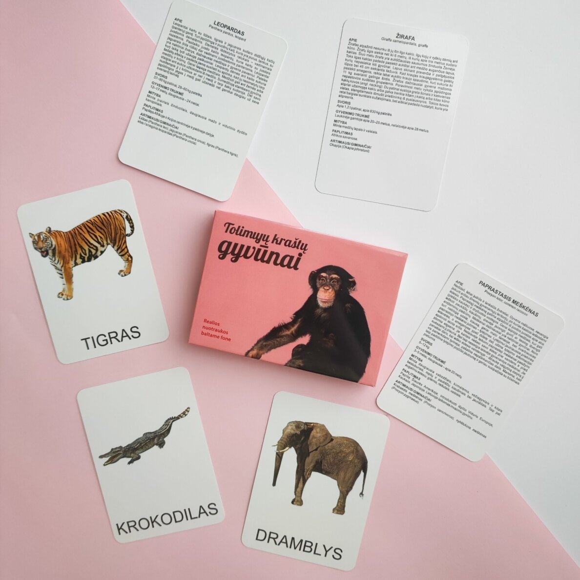 Lavinamųjų kortelių rinkinys „Tolimųjų kraštų gyvūnai“ 5 Lavinamųjų kortelių rinkinys „Tolimųjų kraštų gyvūnai“ 5
