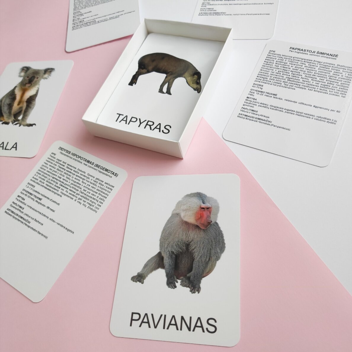 Lavinamųjų kortelių rinkinys „Tolimųjų kraštų gyvūnai“ 6