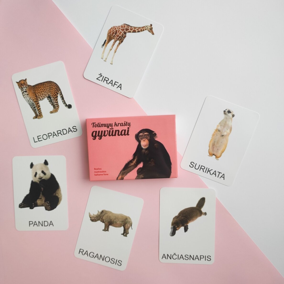 Lavinamųjų kortelių rinkinys „Tolimųjų kraštų gyvūnai“ Lavinamųjų kortelių rinkinys „Tolimųjų kraštų gyvūnai“