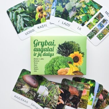 Lavinamųjų kortelių rinkinys "Grybai, augalai ir jų dalys" Lavinamųjų kortelių rinkinys "Grybai, augalai ir jų dalys"