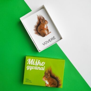 Lavinamųjų kortelių rinkinys „Miško gyvūnai“