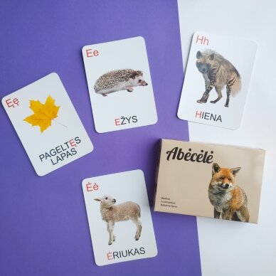Lavinamųjų kortelių rinkinys „Abėcėlė“ 6