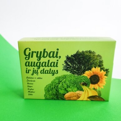 Lavinamųjų kortelių rinkinys "Grybai, augalai ir jų dalys" 4 Lavinamųjų kortelių rinkinys "Grybai, augalai ir jų dalys" 4