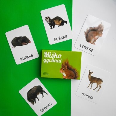 Lavinamųjų kortelių rinkinys „Miško gyvūnai“ 6