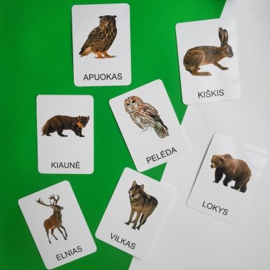 Lavinamųjų kortelių rinkinys „Miško gyvūnai“ 7 Lavinamųjų kortelių rinkinys „Miško gyvūnai“ 7