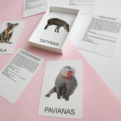 Lavinamųjų kortelių rinkinys „Tolimųjų kraštų gyvūnai“ 6 Lavinamųjų kortelių rinkinys „Tolimųjų kraštų gyvūnai“ 6