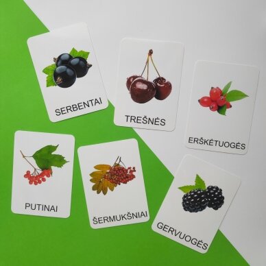 Lavinamųjų kortelių rinkinys „Uogos“ 3 Lavinamųjų kortelių rinkinys „Uogos“ 3