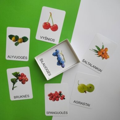 Lavinamųjų kortelių rinkinys „Uogos“ 4 Lavinamųjų kortelių rinkinys „Uogos“ 4