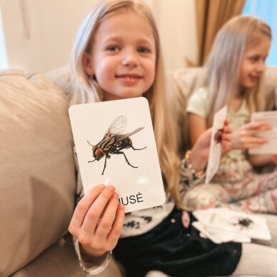 Lavinamųjų kortelių rinkinys „Vabzdžiai ir kiti nariuotakojai“ Lavinamųjų kortelių rinkinys „Vabzdžiai ir kiti nariuotakojai“