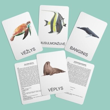 Lavinamųjų kortelių rinkinys „Vandens gyvūnai“ 3 Lavinamųjų kortelių rinkinys „Vandens gyvūnai“ 3