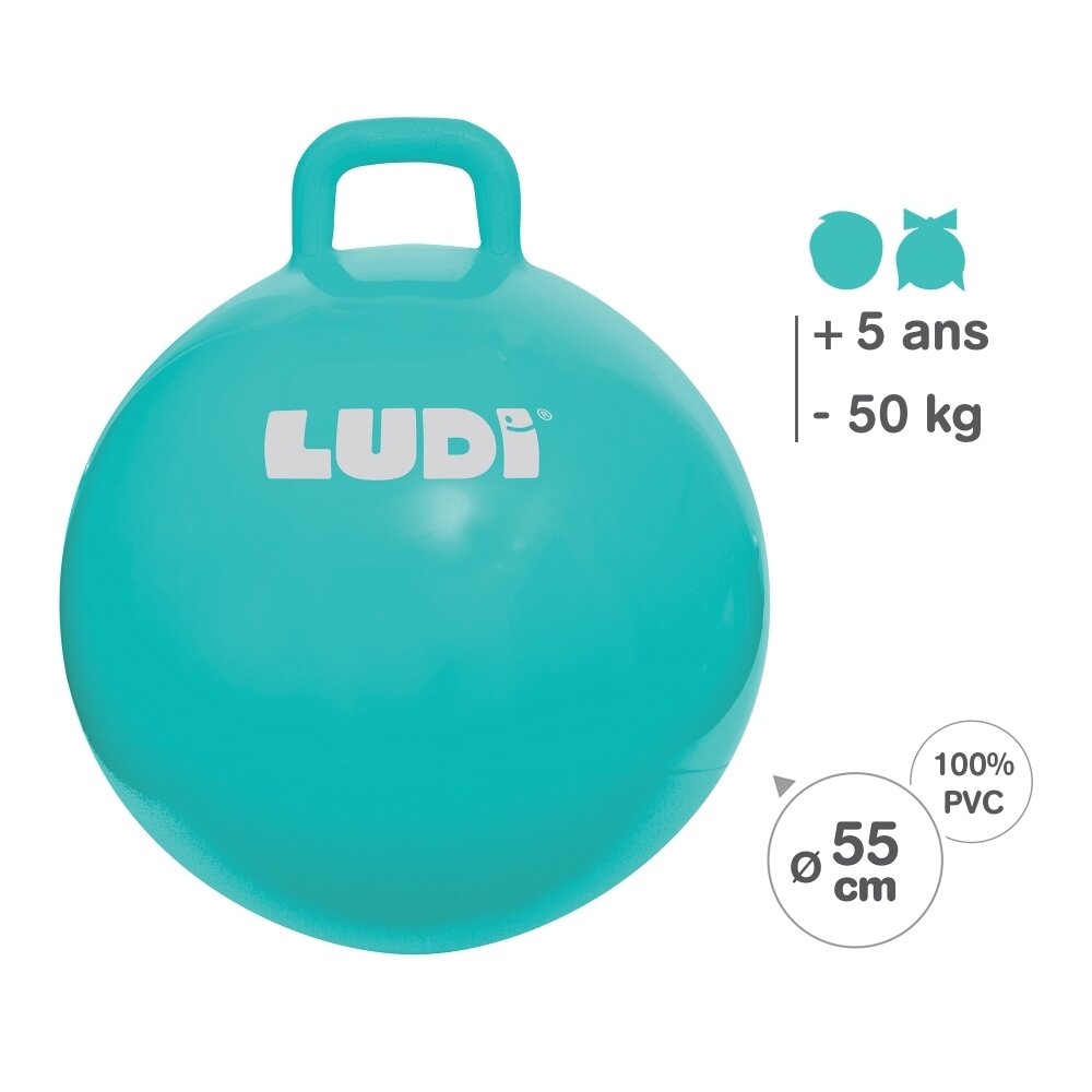 LUDI šokinėjimo kamuolys, mėlynas 55 cm 2