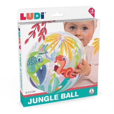 LUDI pripučiamas kamuolys