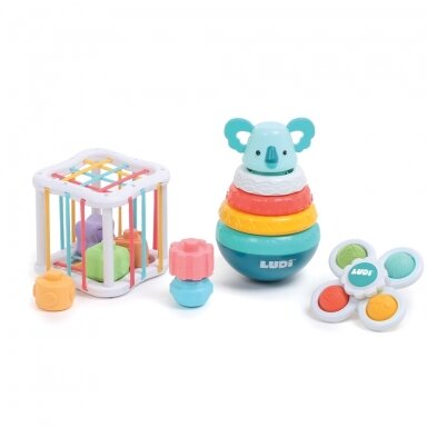LUDI rūšiavimo žaislų rinkinys LUDI rūšiavimo žaislų rinkinys