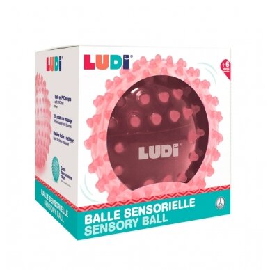 LUDI mankštos kamuolys, rožinis, 20 cm LUDI mankštos kamuolys, rožinis, 20 cm