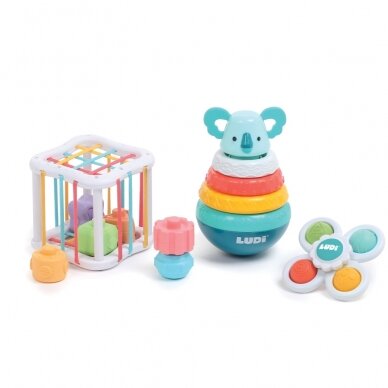 LUDI rūšiavimo žaislų rinkinys LUDI rūšiavimo žaislų rinkinys