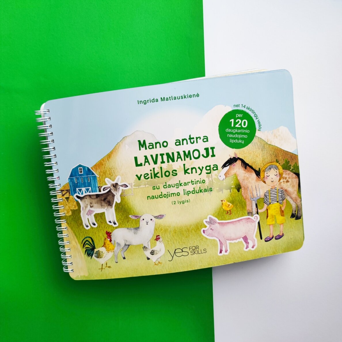 Mano antra lavinamoji veiklos knyga su daugkartinio naudojimo lipdukais 9 Mano antra lavinamoji veiklos knyga su daugkartinio naudojimo lipdukais 9