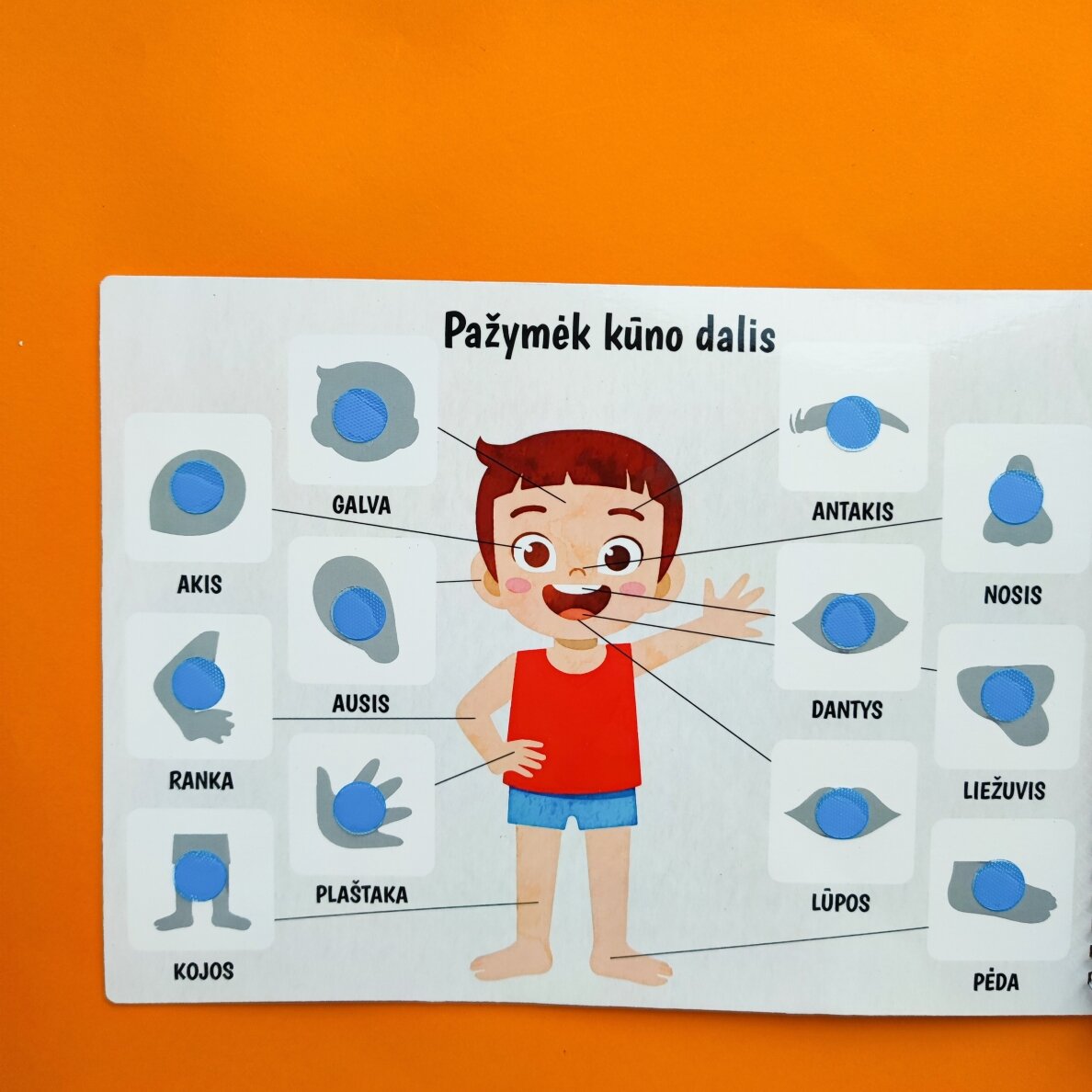 Mano trečia lavinamoji veiklos knyga su daugkartinio naudojimo lipdukais 10 Mano trečia lavinamoji veiklos knyga su daugkartinio naudojimo lipdukais 10