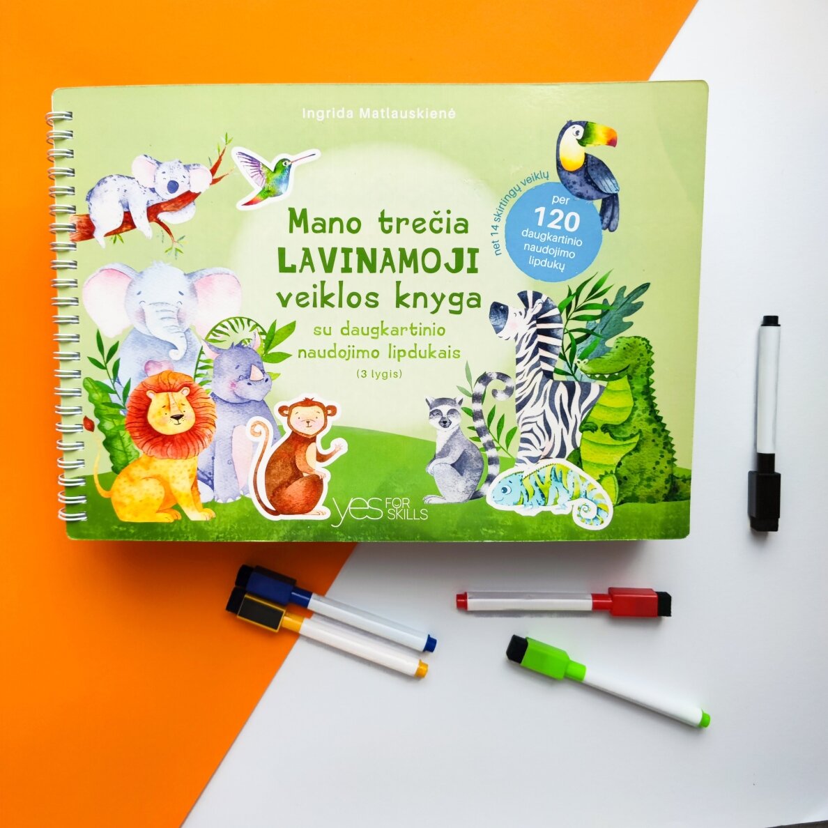Mano trečia lavinamoji veiklos knyga su daugkartinio naudojimo lipdukais 11 Mano trečia lavinamoji veiklos knyga su daugkartinio naudojimo lipdukais 11