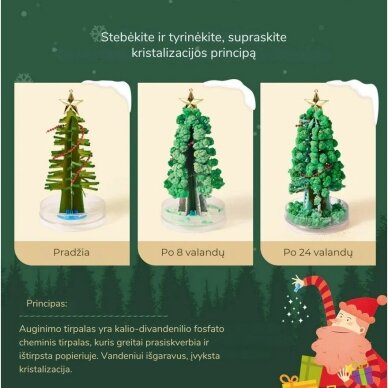 Magiškas Kalėdų medis – kristalų auginimo rinkinys 2 Magiškas Kalėdų medis – kristalų auginimo rinkinys 2