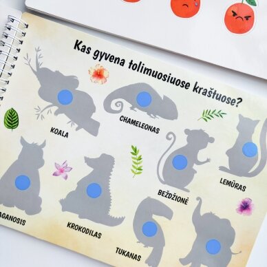 Mano trečia lavinamoji veiklos knyga su daugkartinio naudojimo lipdukais 6 Mano trečia lavinamoji veiklos knyga su daugkartinio naudojimo lipdukais 6