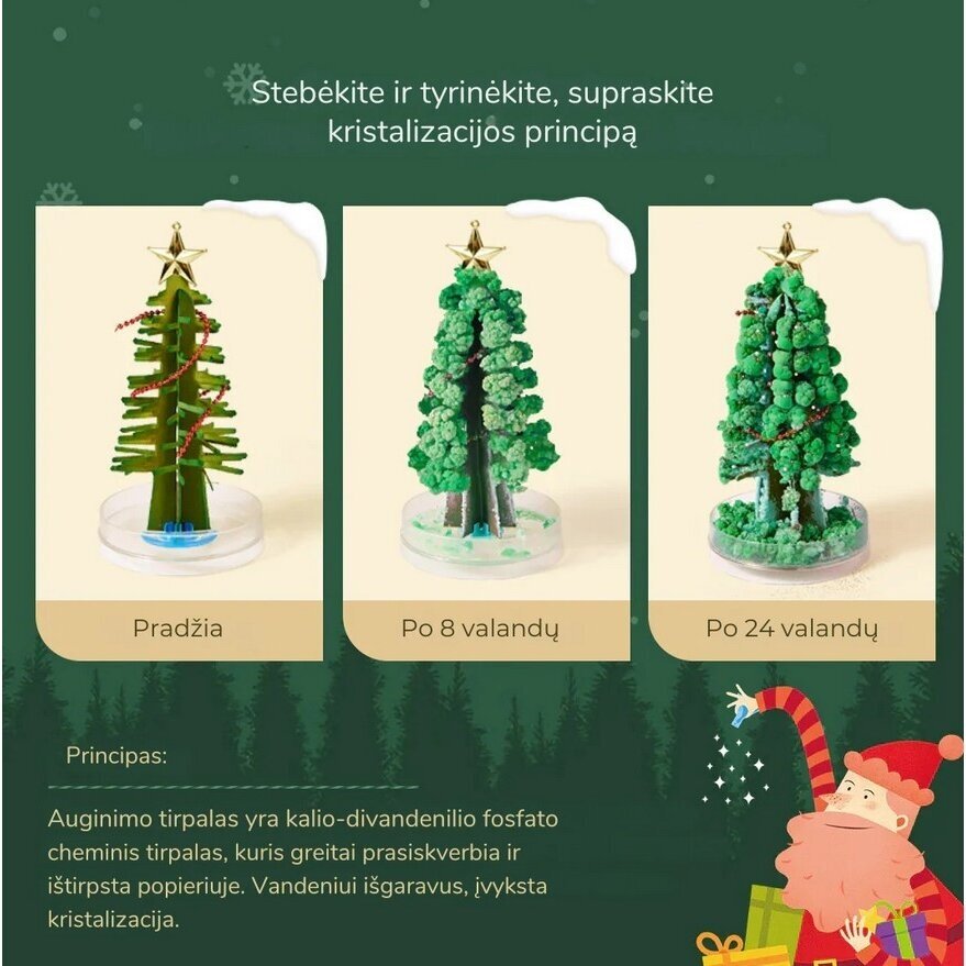 Magiškas Kalėdų medis – kristalų auginimo rinkinys 2 Magiškas Kalėdų medis – kristalų auginimo rinkinys 2