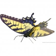Metalinis 3D konstruktorius "Tiger Swallowtail"