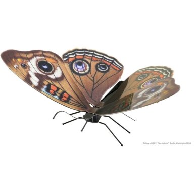 Metalinis 3D konstruktorius "Drugelis Buckeye" Metalinis 3D konstruktorius "Drugelis Buckeye"