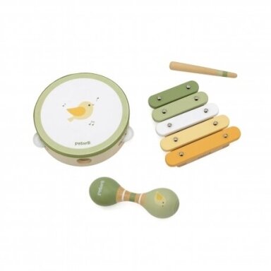 Muzikinių instrumentų rinkinys Paukščiukas Muzikinių instrumentų rinkinys Paukščiukas