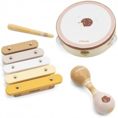 Muzikinių instrumentų rinkinys Ežiukas