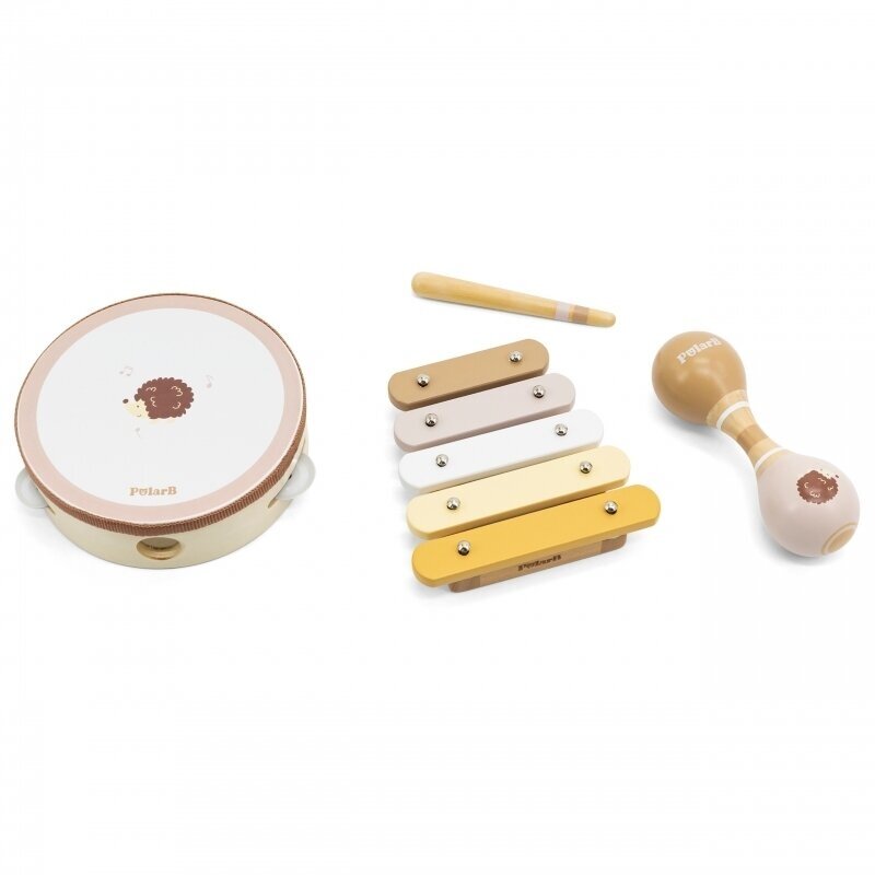 Muzikinių instrumentų rinkinys Ežiukas 1 Muzikinių instrumentų rinkinys Ežiukas 1