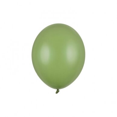Stiprūs balionai Rozmarino spalvos 30 cm, 50vnt Stiprūs balionai Rozmarino spalvos 30 cm, 50vnt