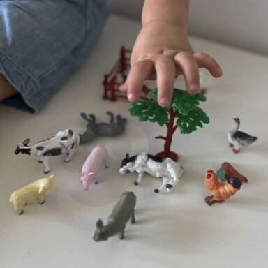 WOOPIE fermos gyvūnėlių figurėlės WOOPIE fermos gyvūnėlių figurėlės